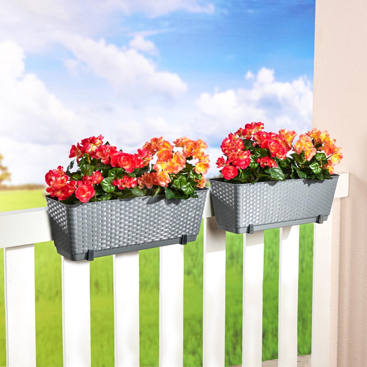 Truhlík v optice ratanu