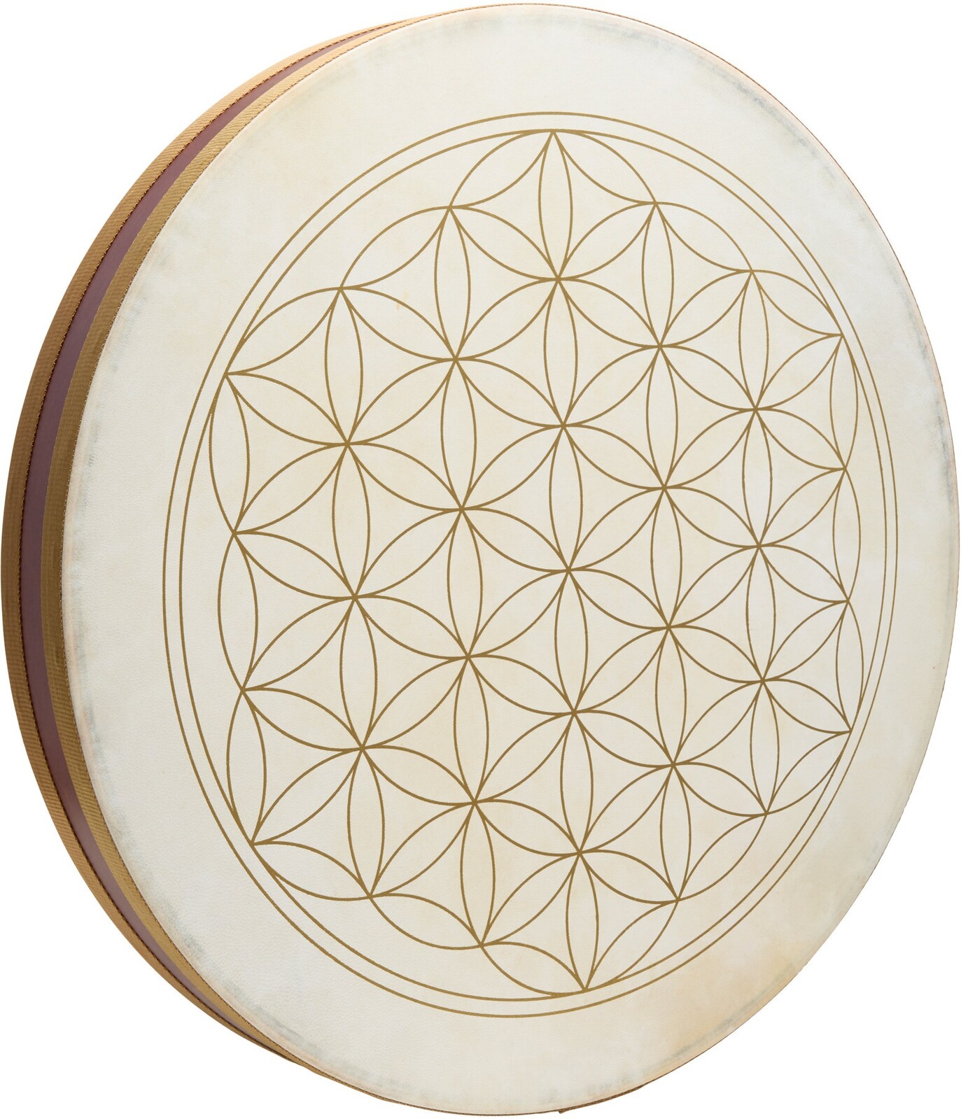 Meinl Sonic Energy WD22FOL