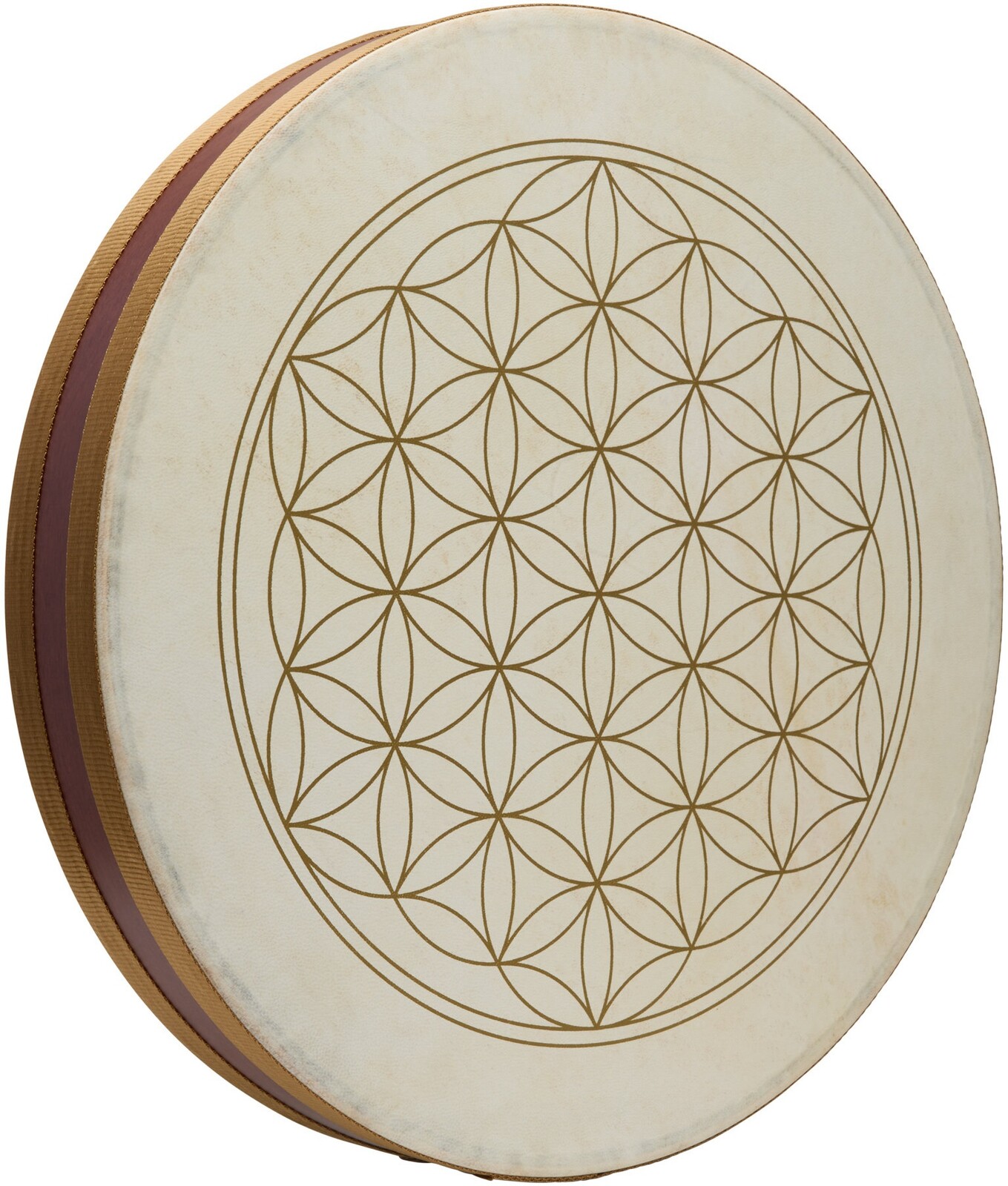 Meinl Sonic Energy WD18FOL