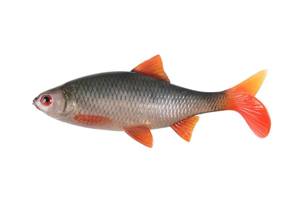 Fox Rage Gumová nástraha Ultra Natural Roach - 14cm  29g