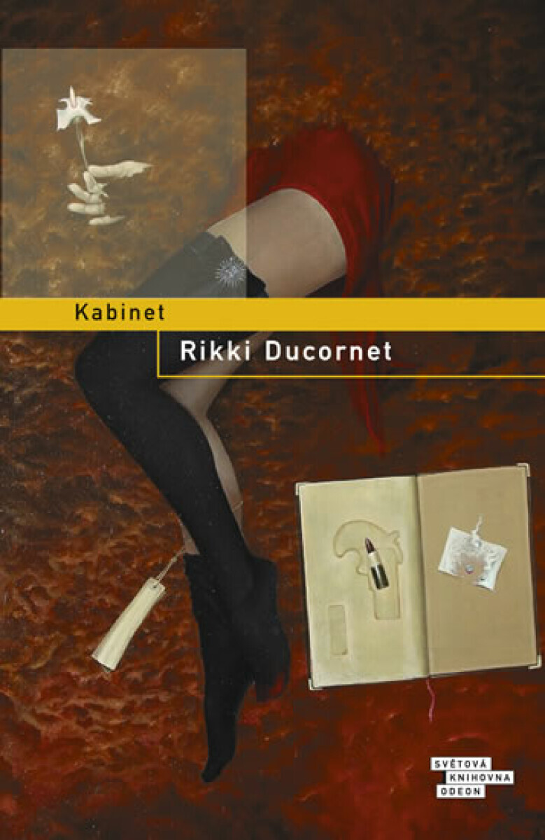 Kabinet (poškozená) - Ducornet Rikki