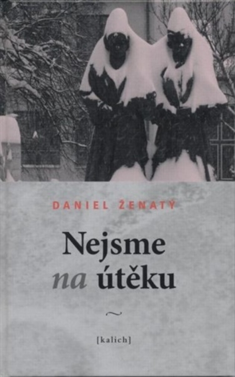 Nejsme na útěku - Daniel Ženatý