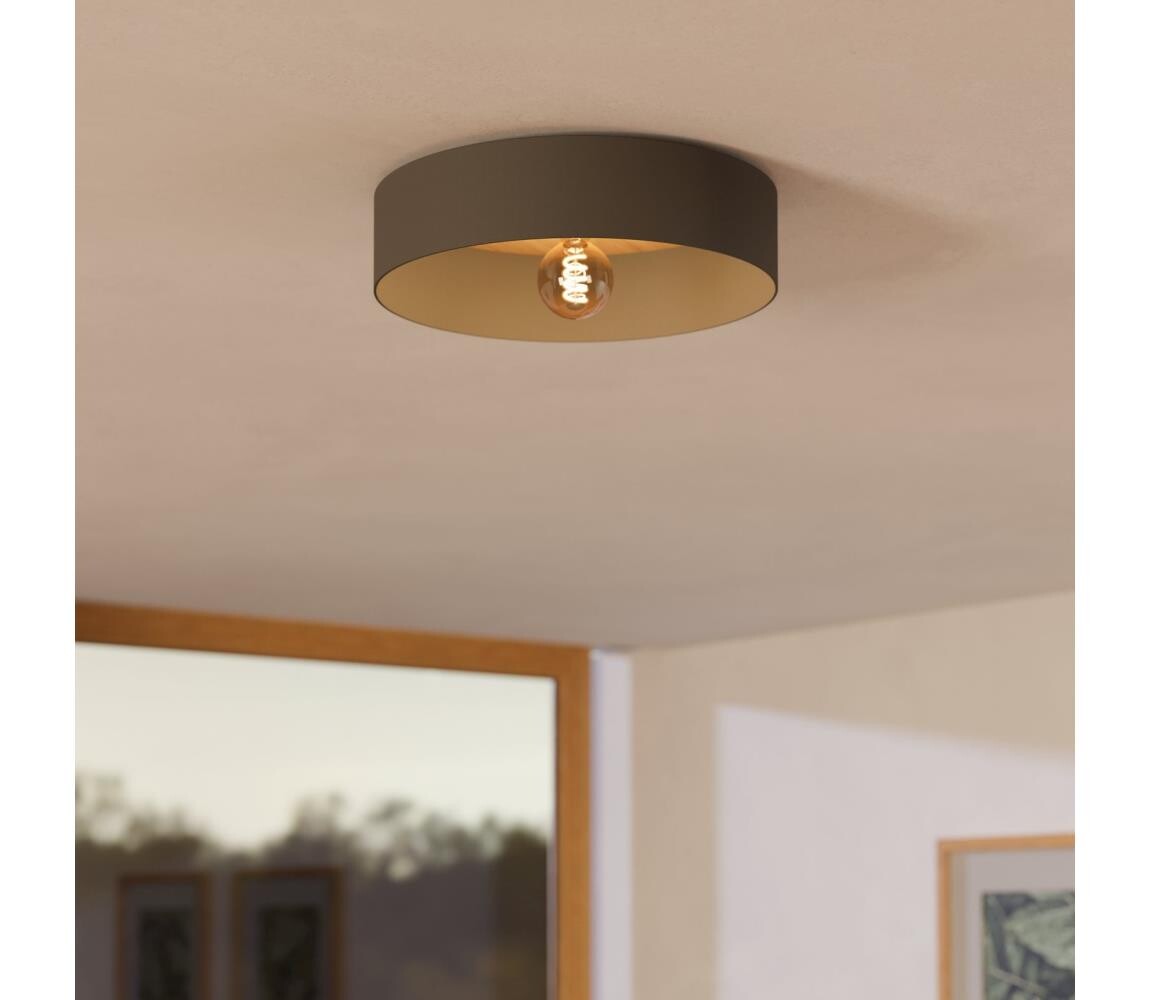 Eglo 901745 - Stropní svítidlo DUAIA 1xE27/40W/230V šedá 901745