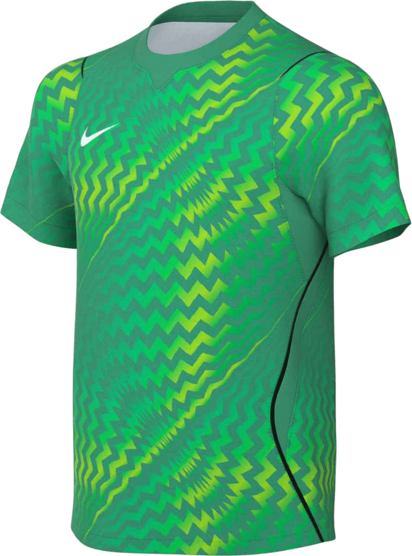 Dres Nike  Dri-FIT Gardien VI Goalkeeper Kids