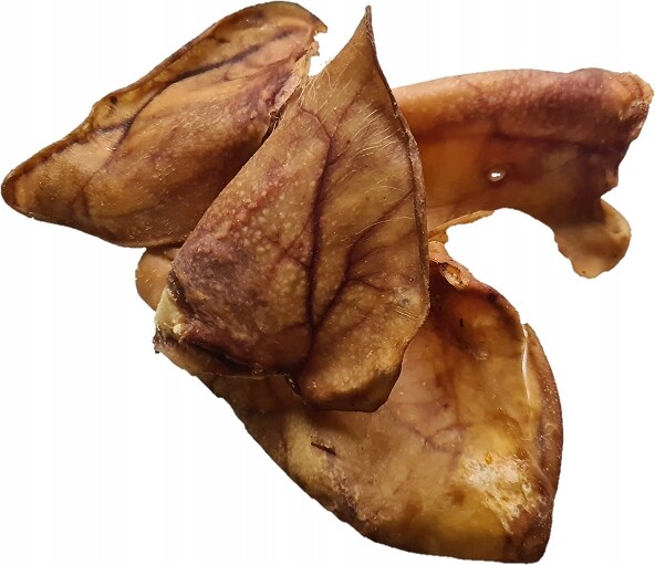 Žvýkací pochoutka pro psy Vepřové ucho L-XL 20 Kusů