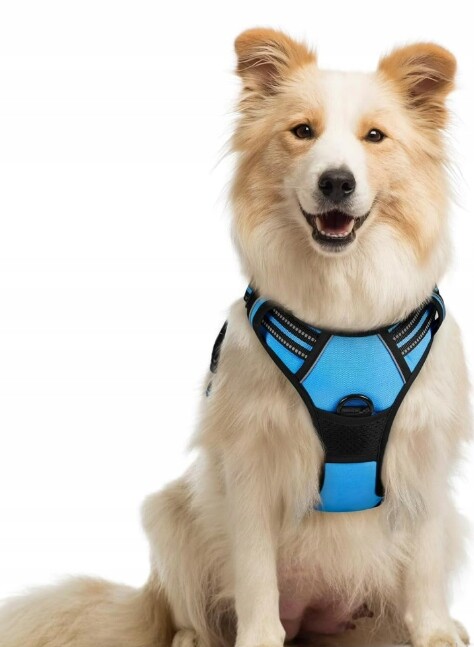 Postroj Pro Psa Bez Tahání Velikost M Rabbitgoo Reflexní Modrý