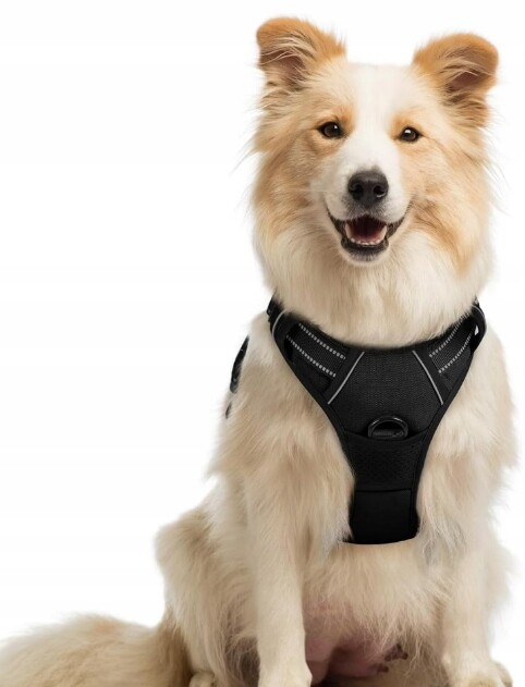 Postroj Pro Psa Bez Tahání Velikost L Rabbitgoo Reflexní Černý