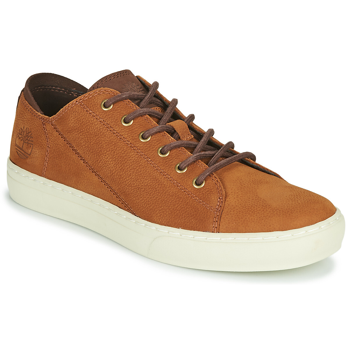 Timberland  ADV 2.0 CUPSOLE MODERN OX  Hnědá