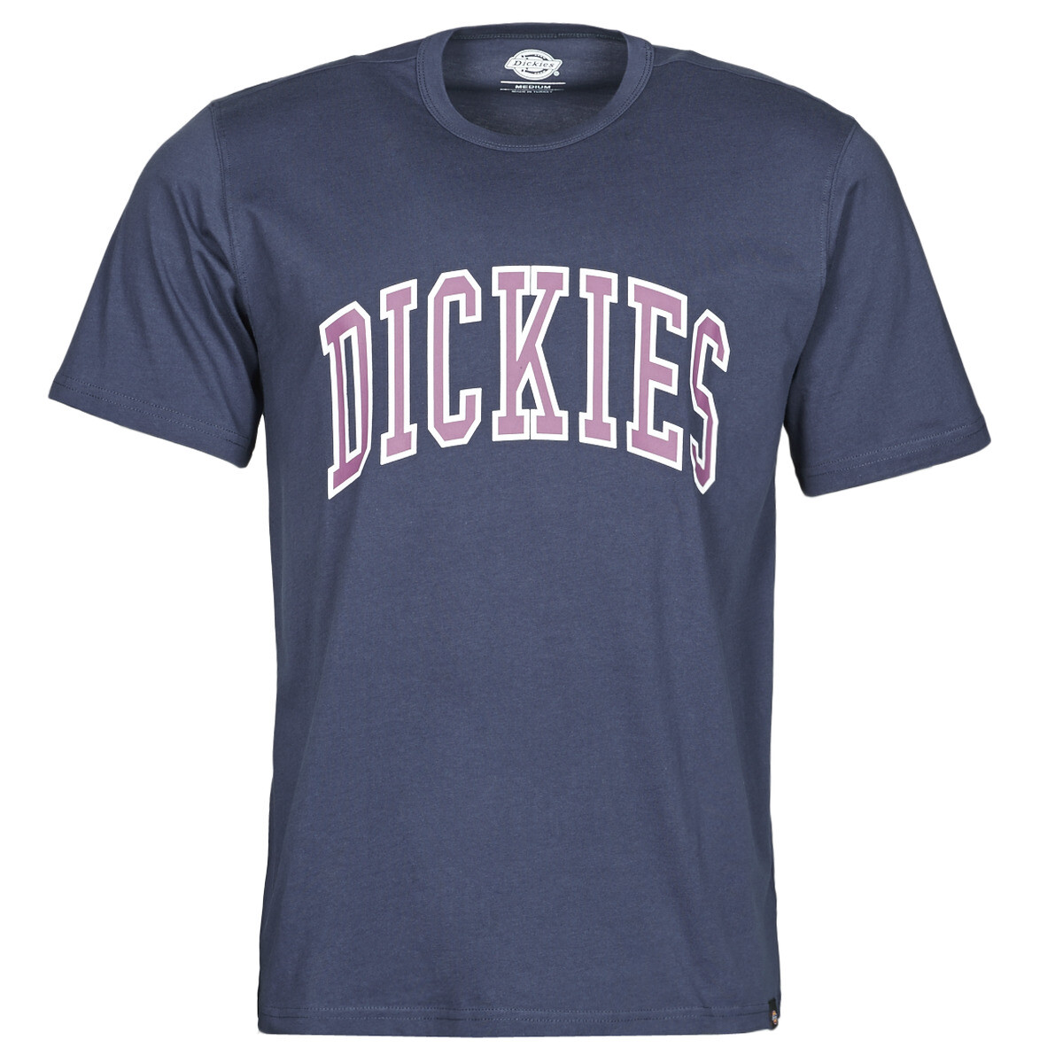 Dickies  AITKIN  Modrá