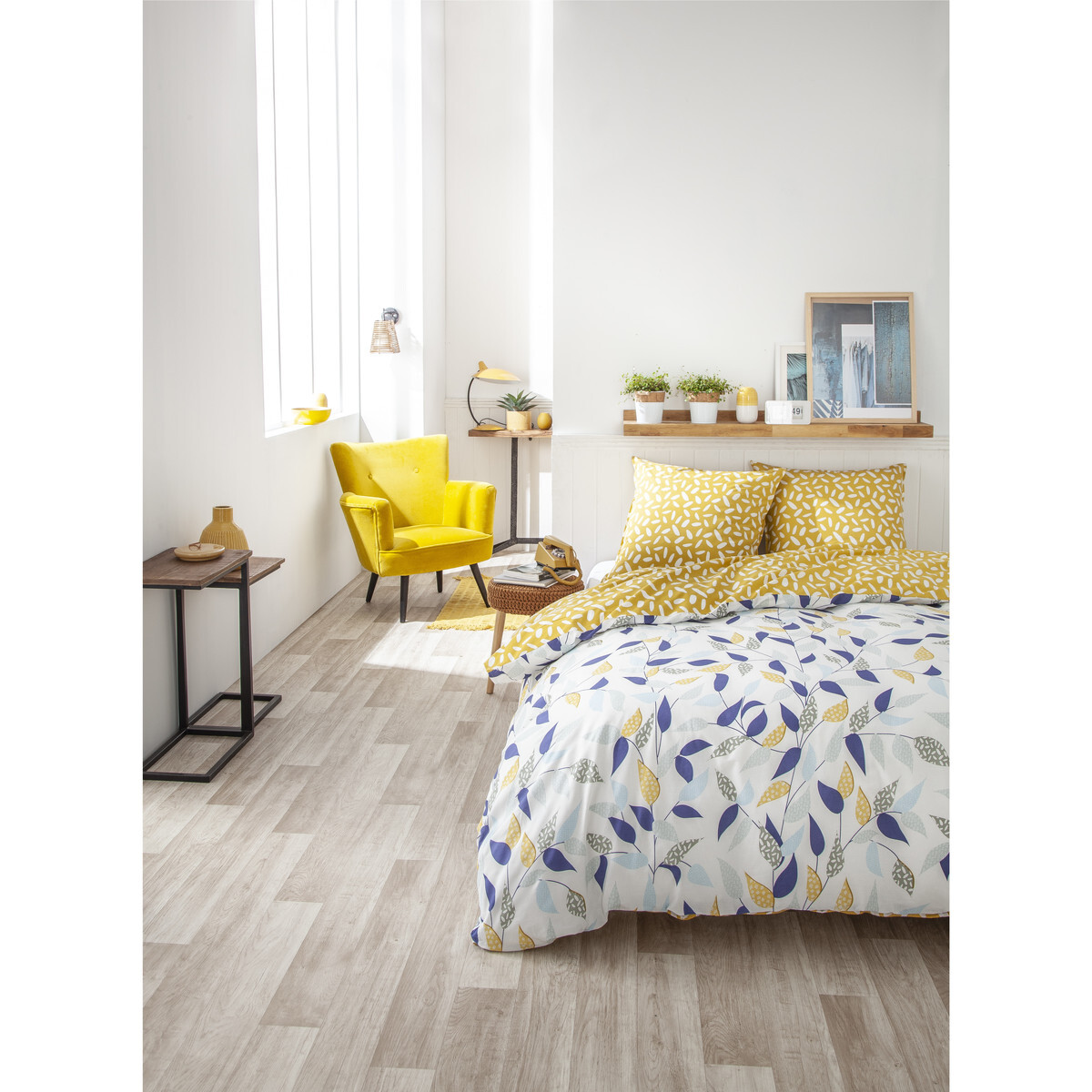 Today  SUNSHINE 8.58  ruznobarevne