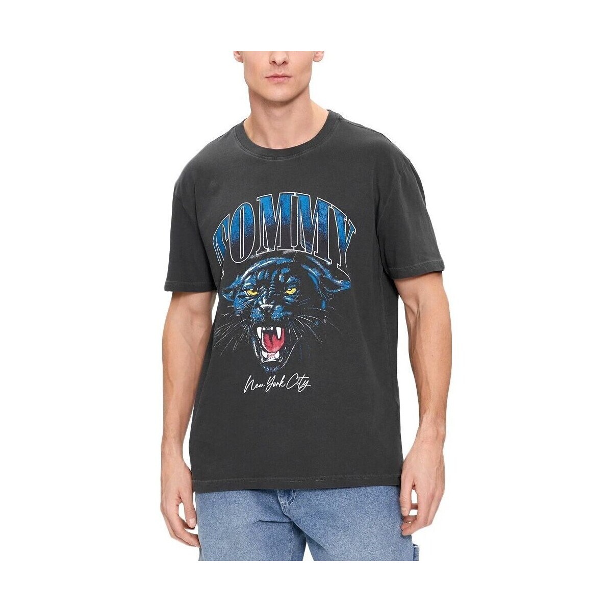 Tommy Hilfiger  DM0DM18281BDS  Modrá