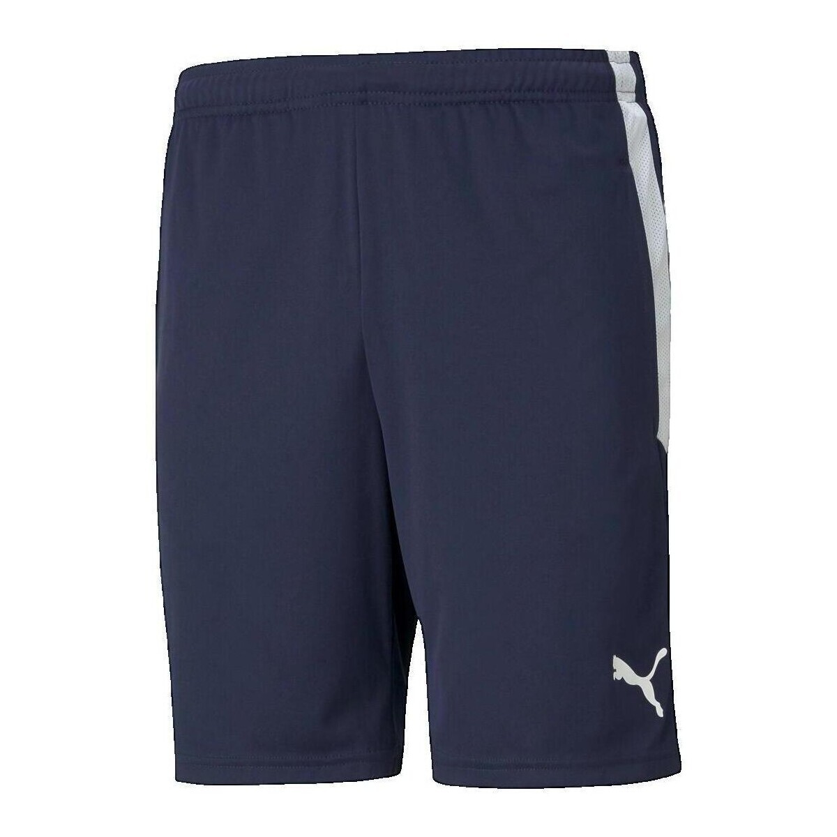 Puma  Short  Teamliga Training bleu  Modrá