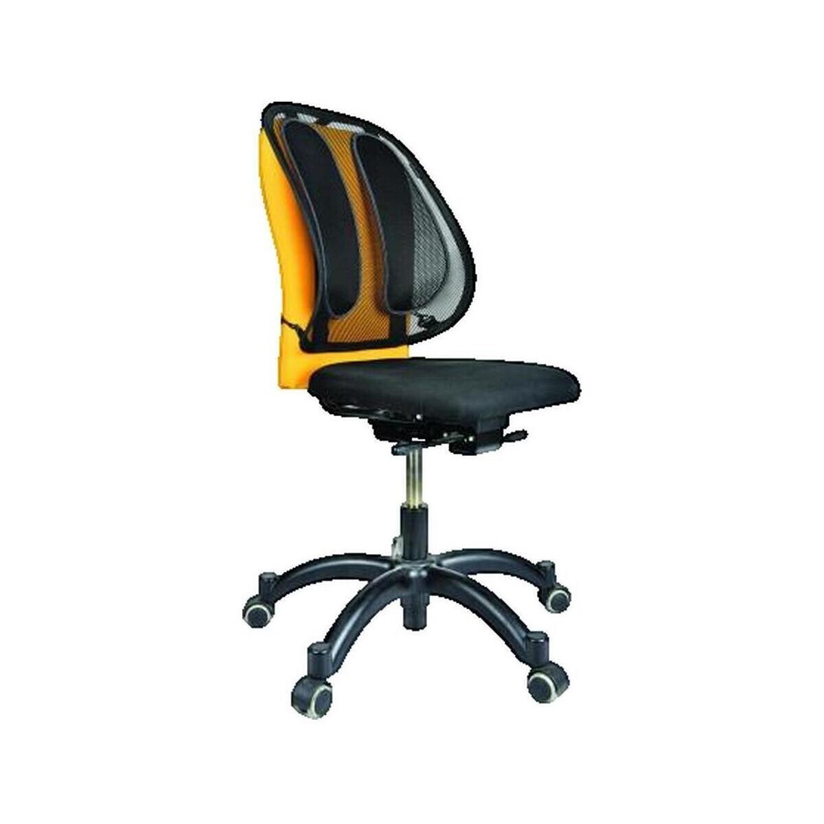 Fellowes  Support Dorsal  Ergonomique en Maille Respirante  Černá