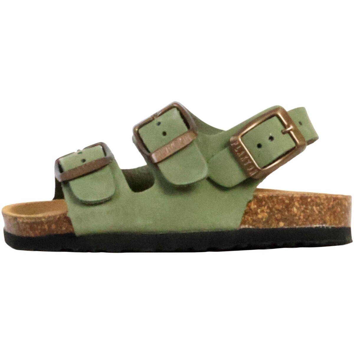 Plakton  275137  Zelená