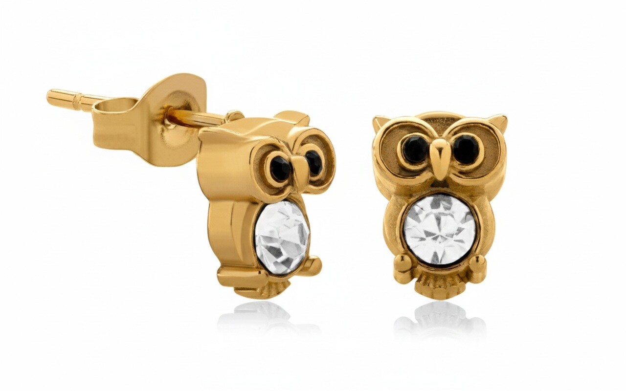 Troli Roztomilé pozlacené náušnice se zirkony Sova VGE782G-1