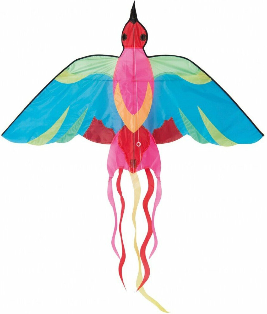 Létající pestrobarevný pták