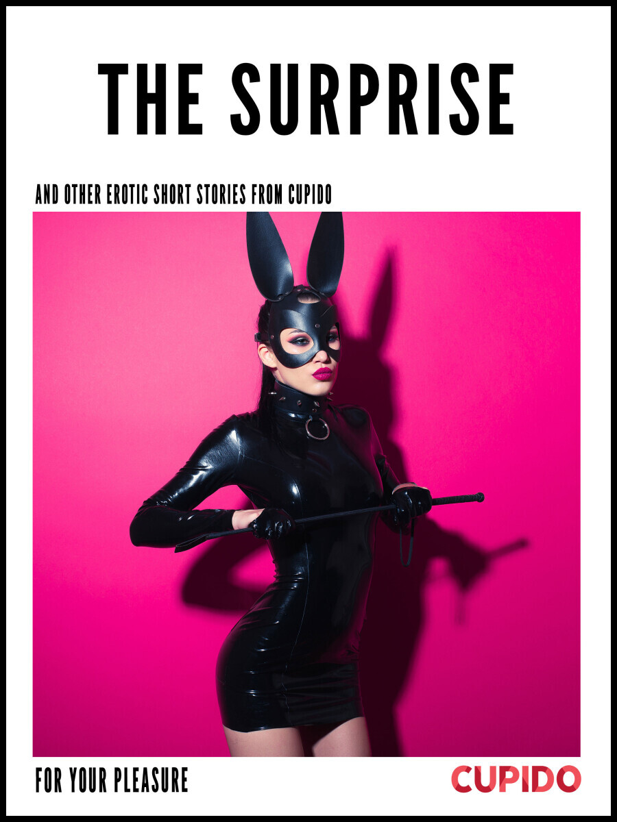 The Surprise - and other erotic short stories - Cupido