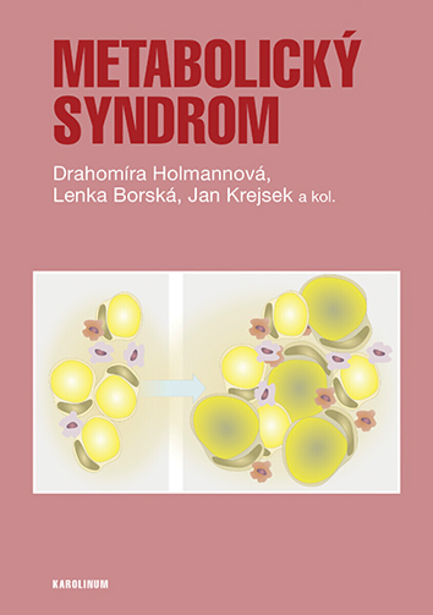 Metabolický syndrom - Holmannová Drahomíra, Lenka Borská, Jan Krejsek