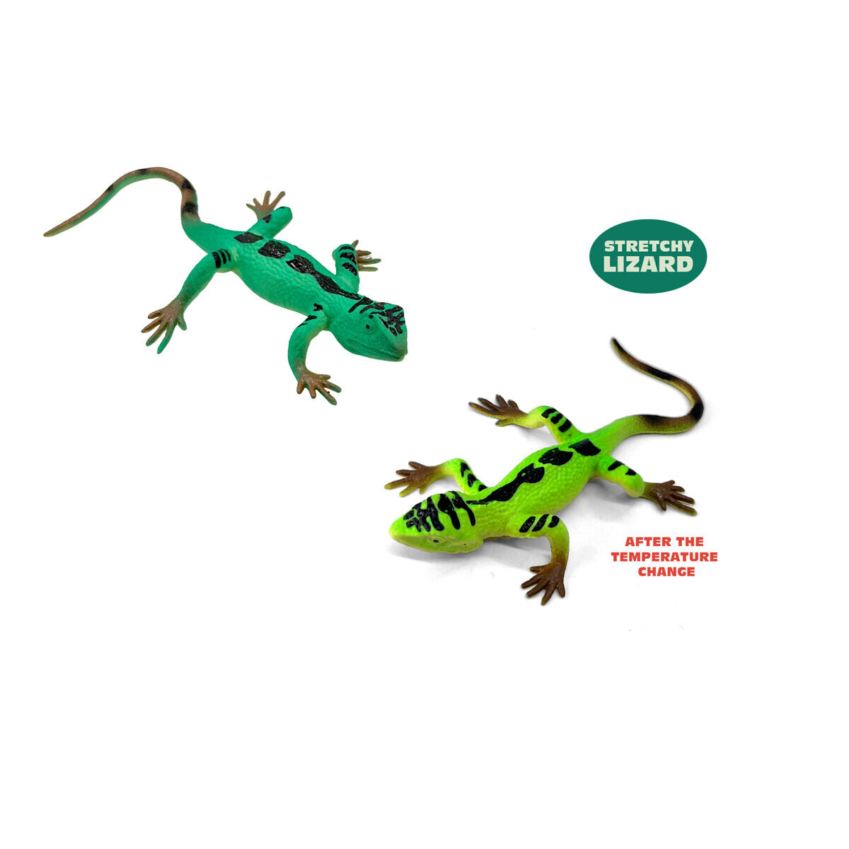 MAGANA Ještěrka měnící barvu