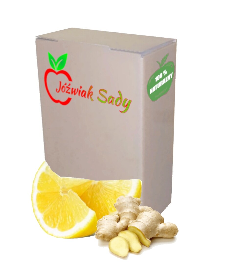 Šťáva zázvor citron 100% Nfc 3L Lisovaná z citronu