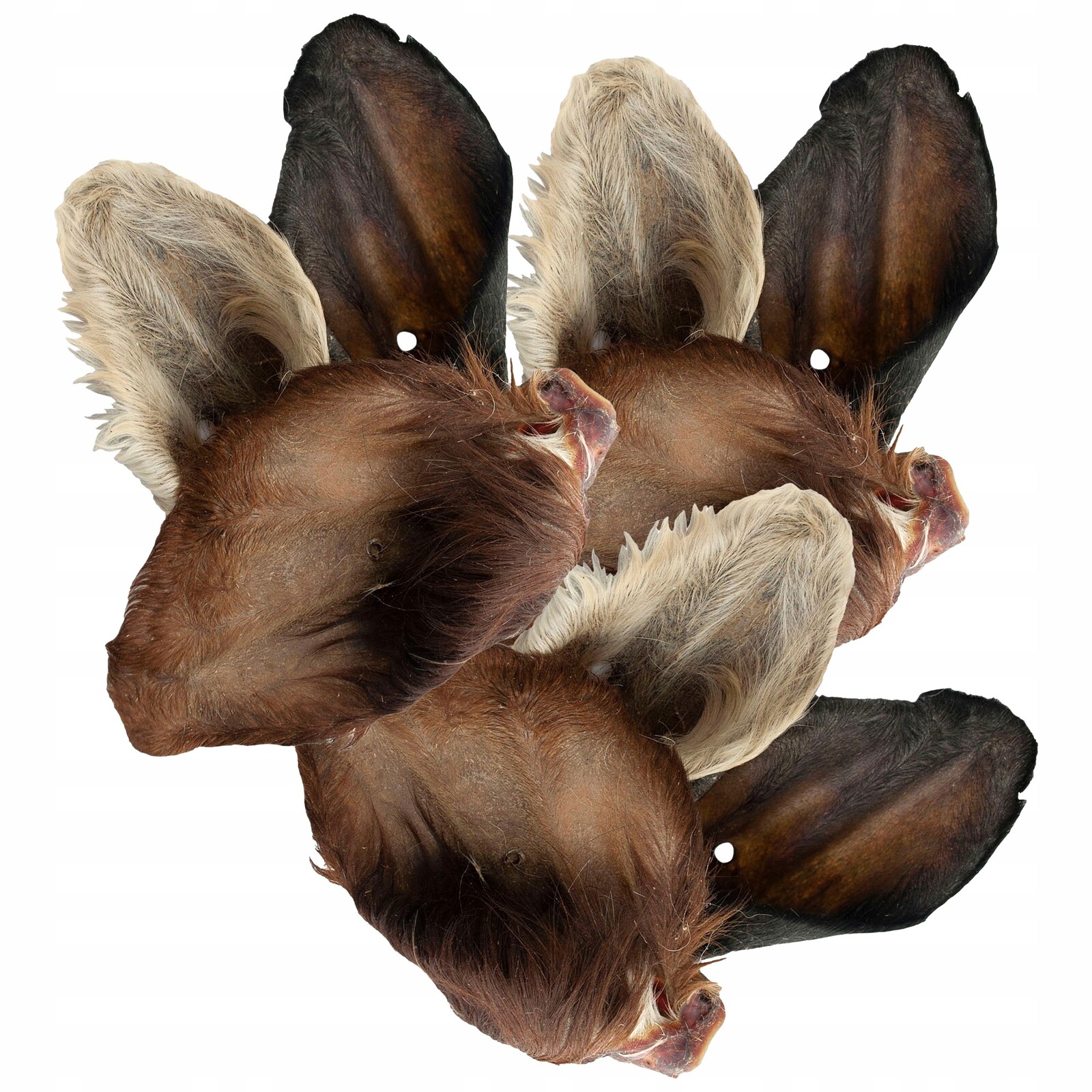 Gaczoo Psí pamlsek Hovězí ucho s chlupy 20 ks přírodní kousátko