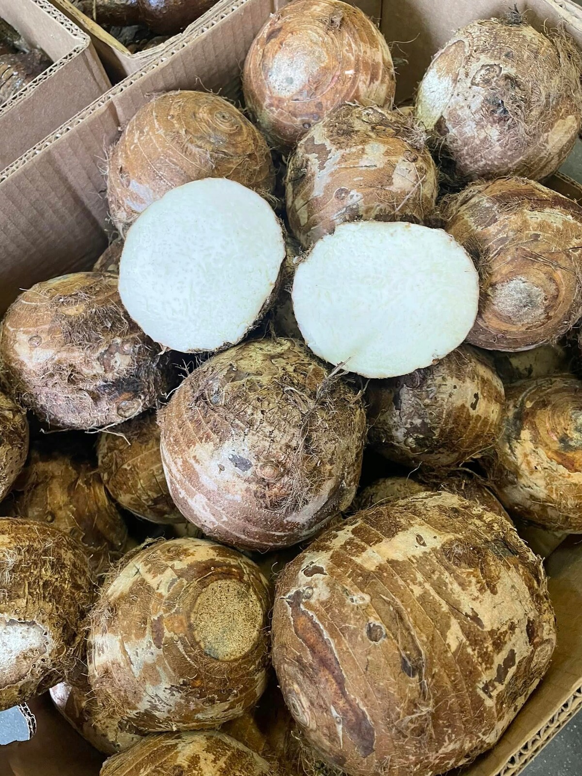 Hlízy Taro 18 kg (celé balení) – exotická zelenina pro asijskou kuchyni