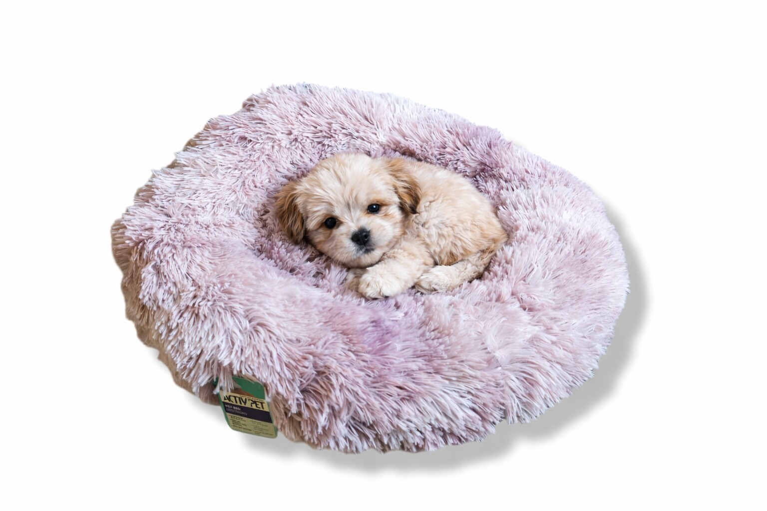 Pelíšek pro psa/kočku růžové Activ Pet 60x60