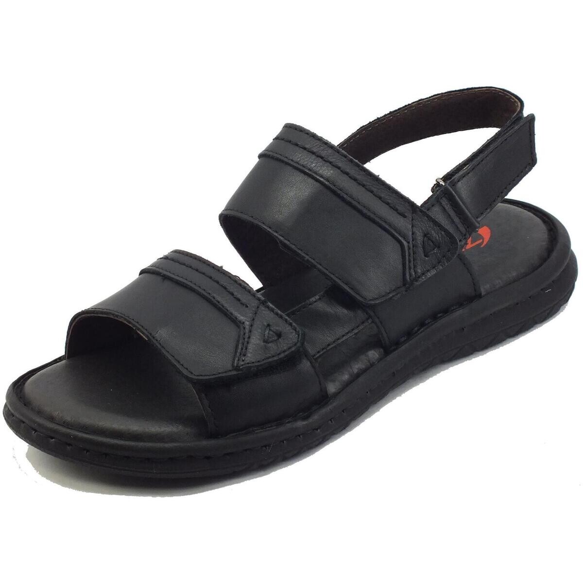 Zen  478719  Černá