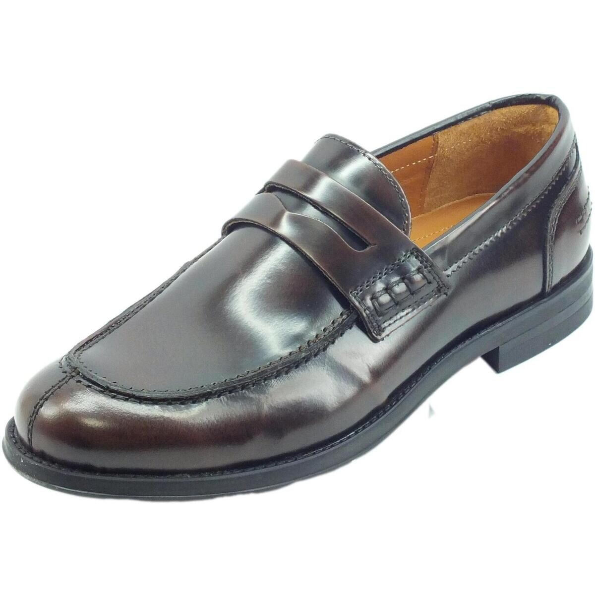 Franzini  Gavi 80116 Splendor  Hnědá