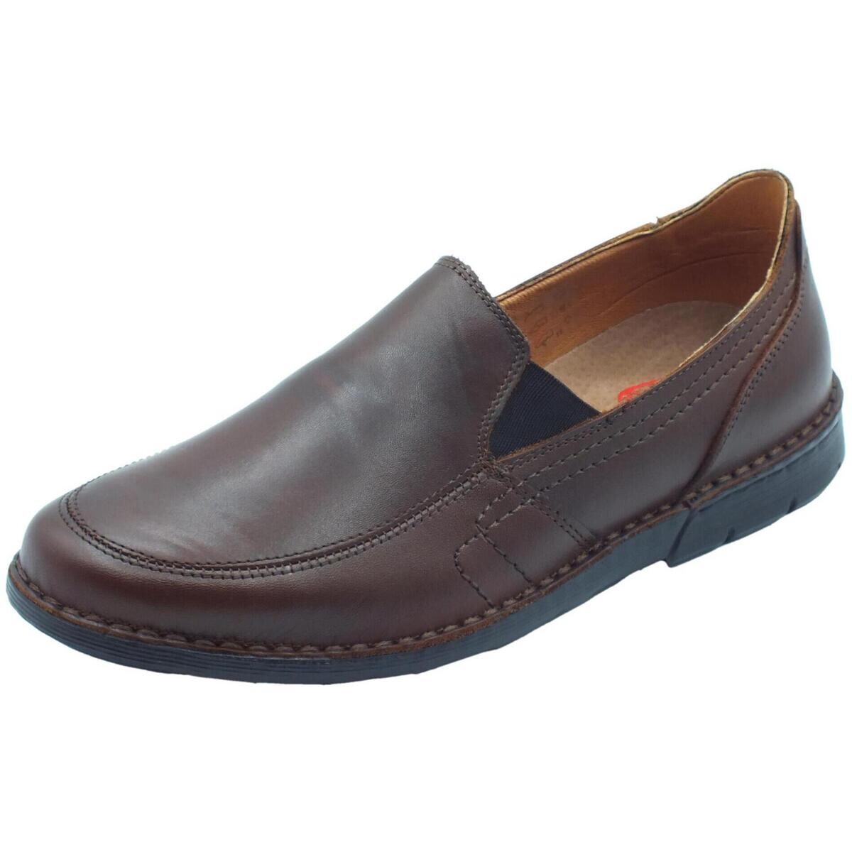 Zen  678919  Hnědá