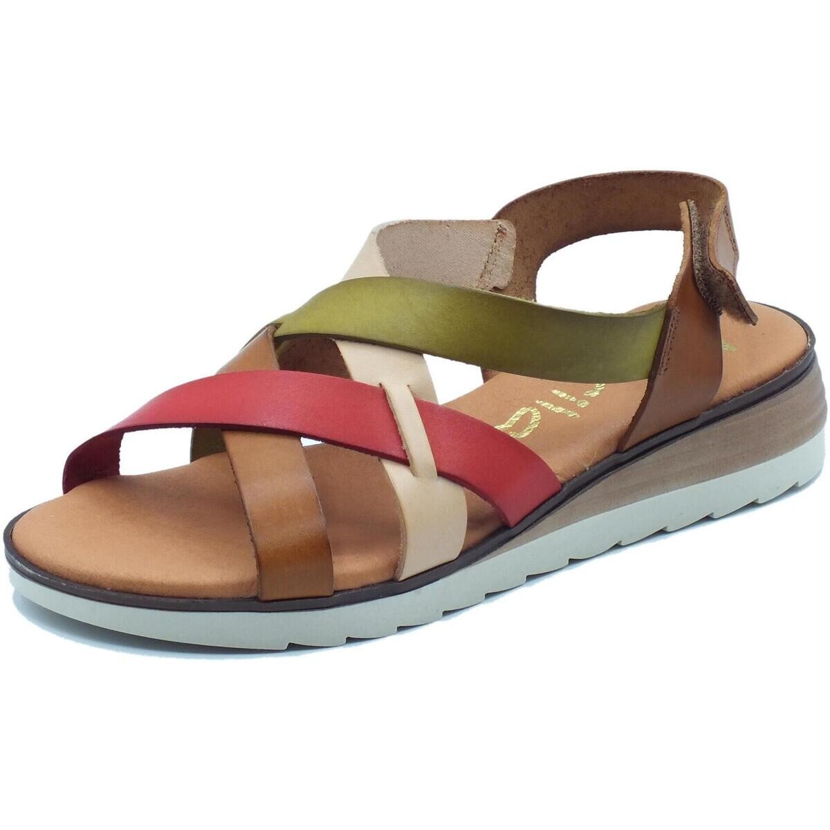 Marila  Betiana 1554  ruznobarevne