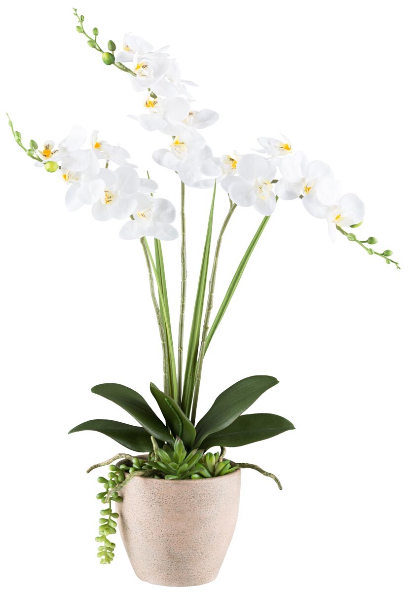 Gasper Umělá orchidej 55 cm, bílá