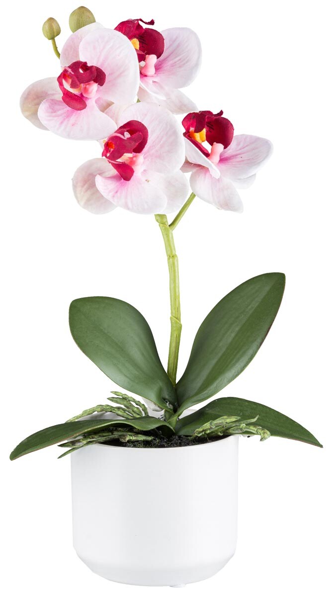 Gasper Umělá orchidej v květináči, 27 cm, růžová