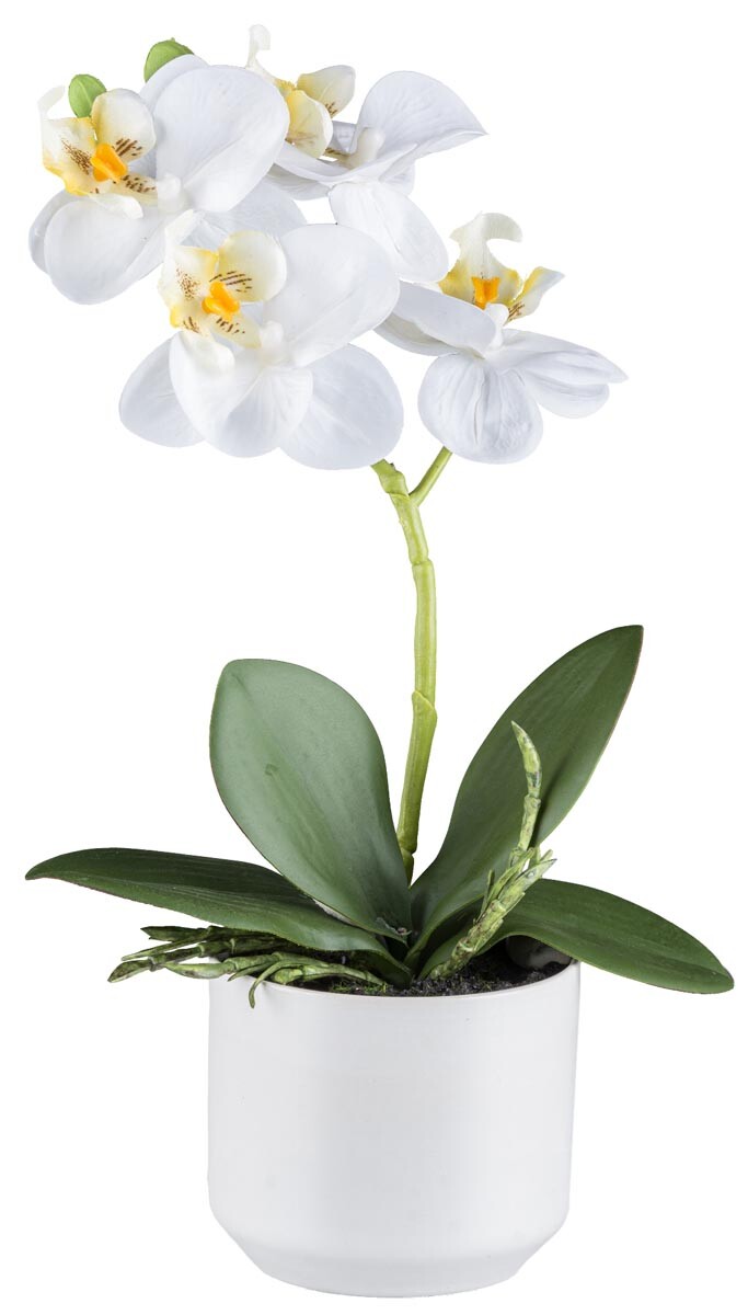 Gasper Umělá orchidej v kvetináči, 27 cm, bílá