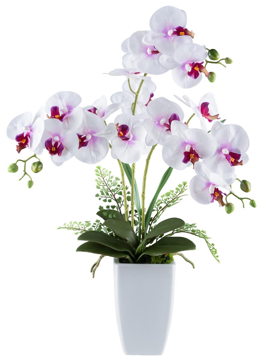 Gasper Umělá orchidej 67 cm, bílofialová