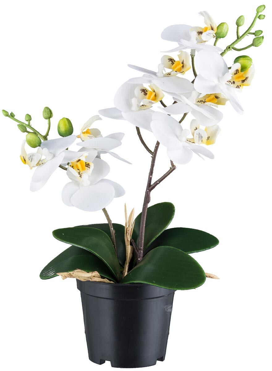 Gasper Umělá orchidej 28cm, bílá