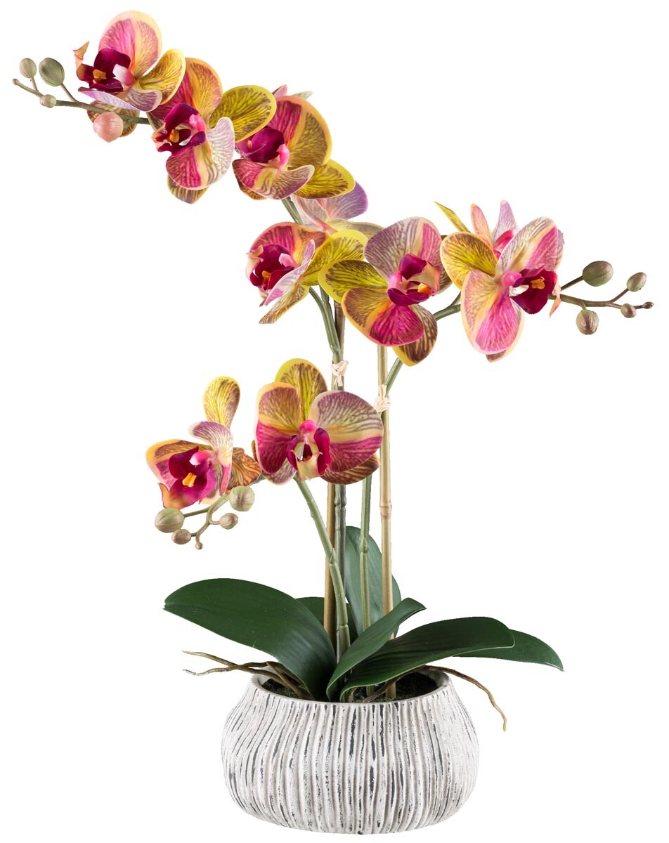 Gasper Umělá orchidej 48 cm, žluto-růžová