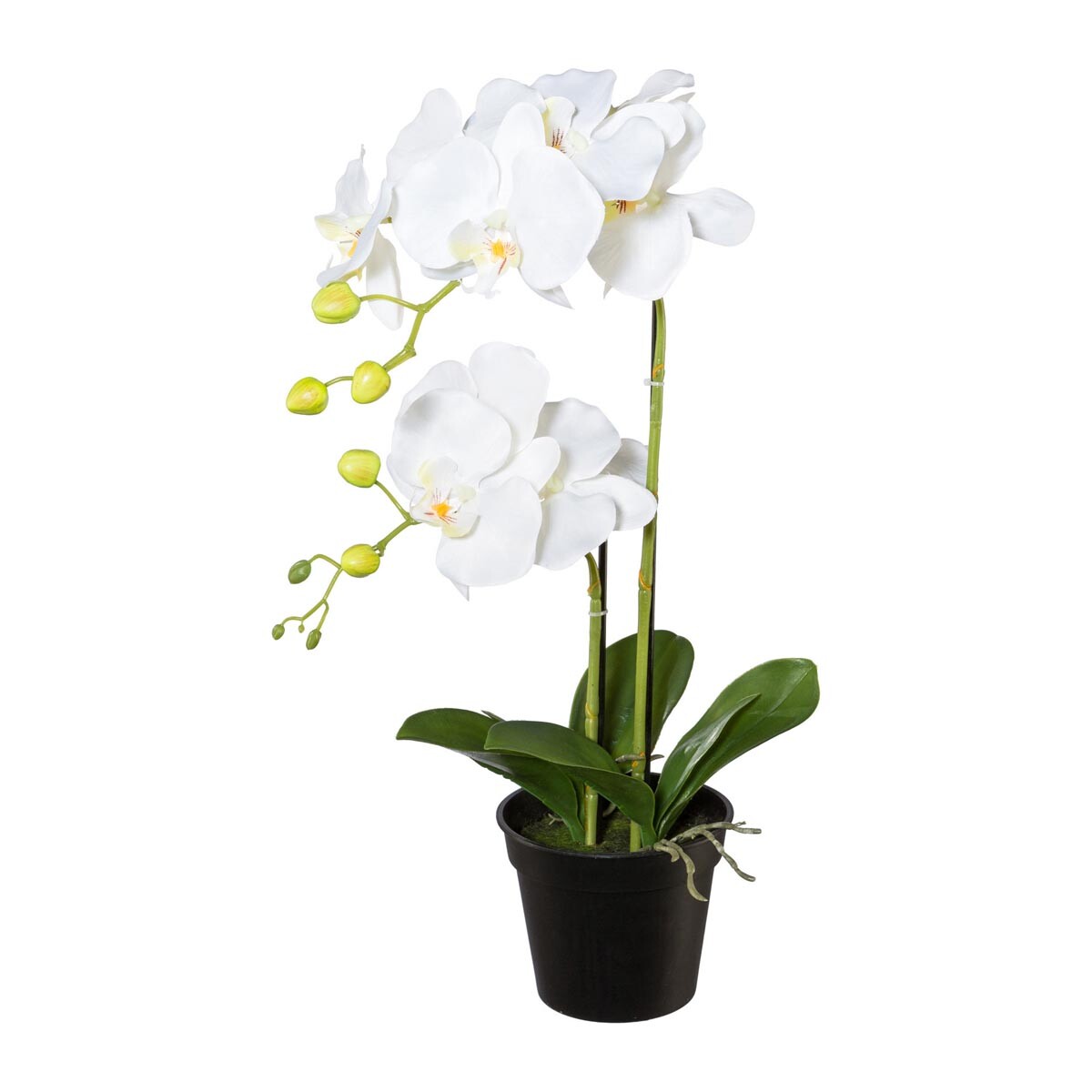 Umělá orchidej v květináči, 55 cm, bílá