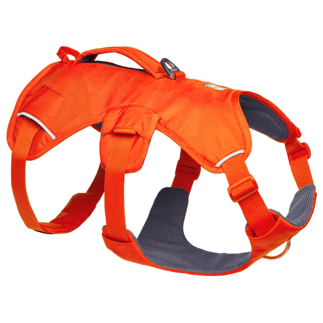 Postroj pro psa Ruffwear Web Master™ Harness Velikost: XS / Barva: oranžová