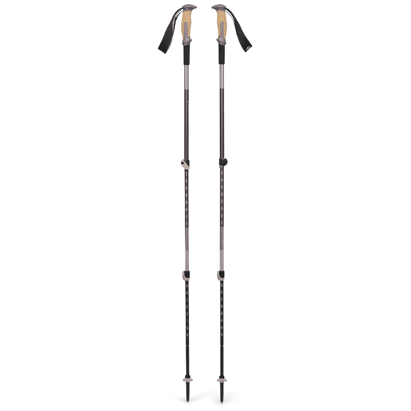 Trekové hole Black Diamond Trail Vista Shock Barva: fialová