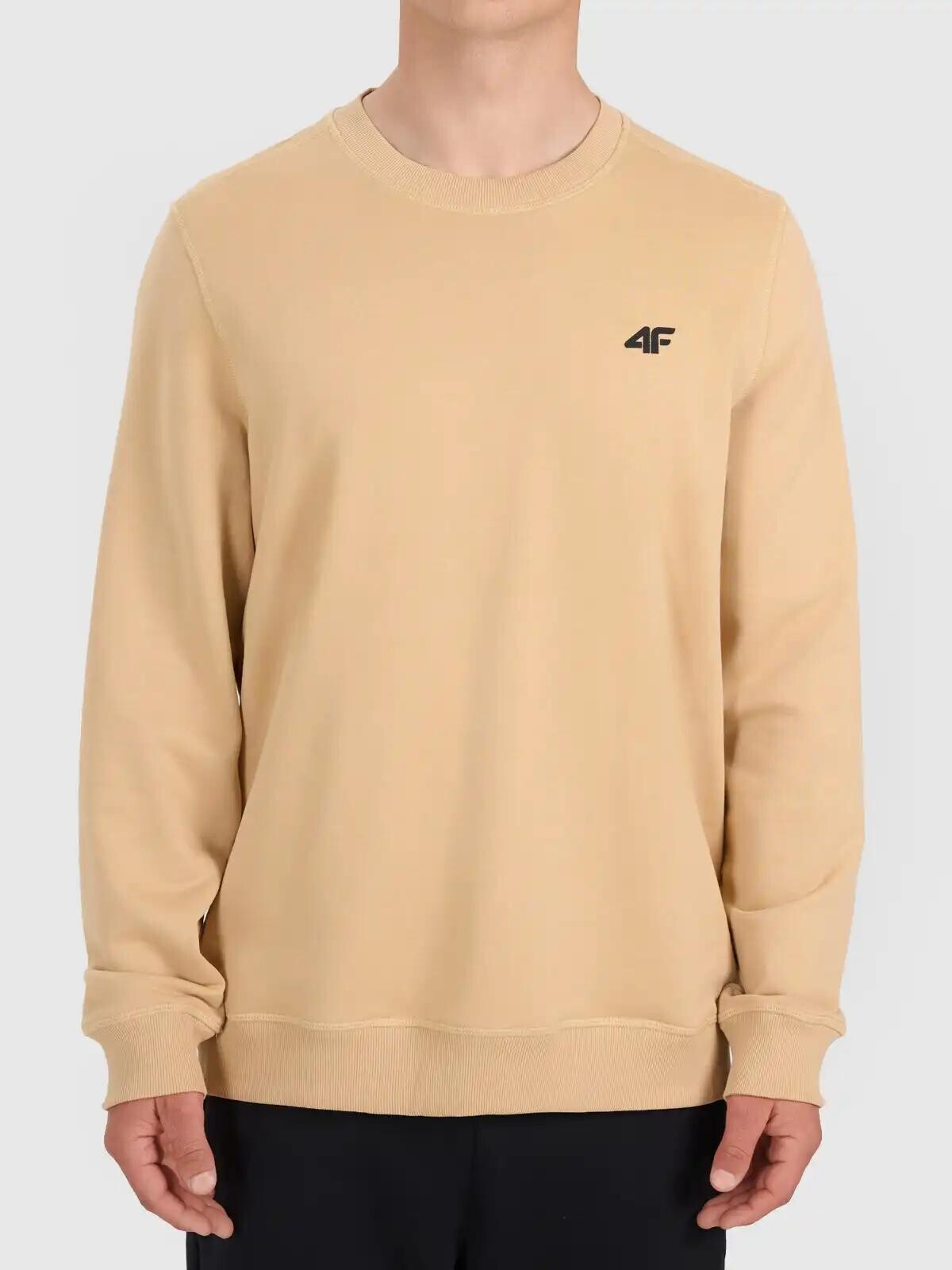 Pánská mikina 4F Dylan