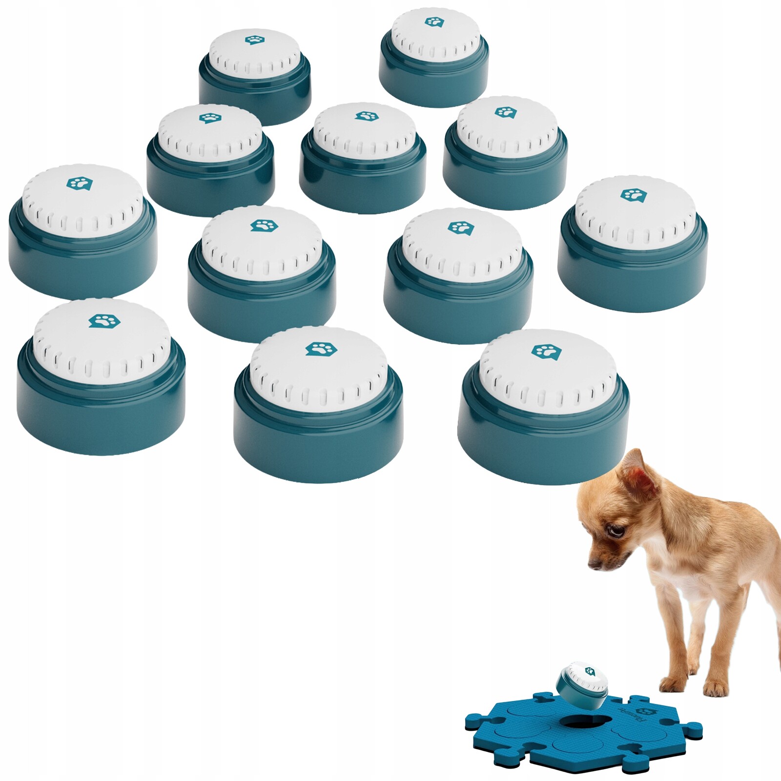 Fluentpet Speak Up! – Sada 12 tlačítek pro komunikaci se psem nebo kočkou