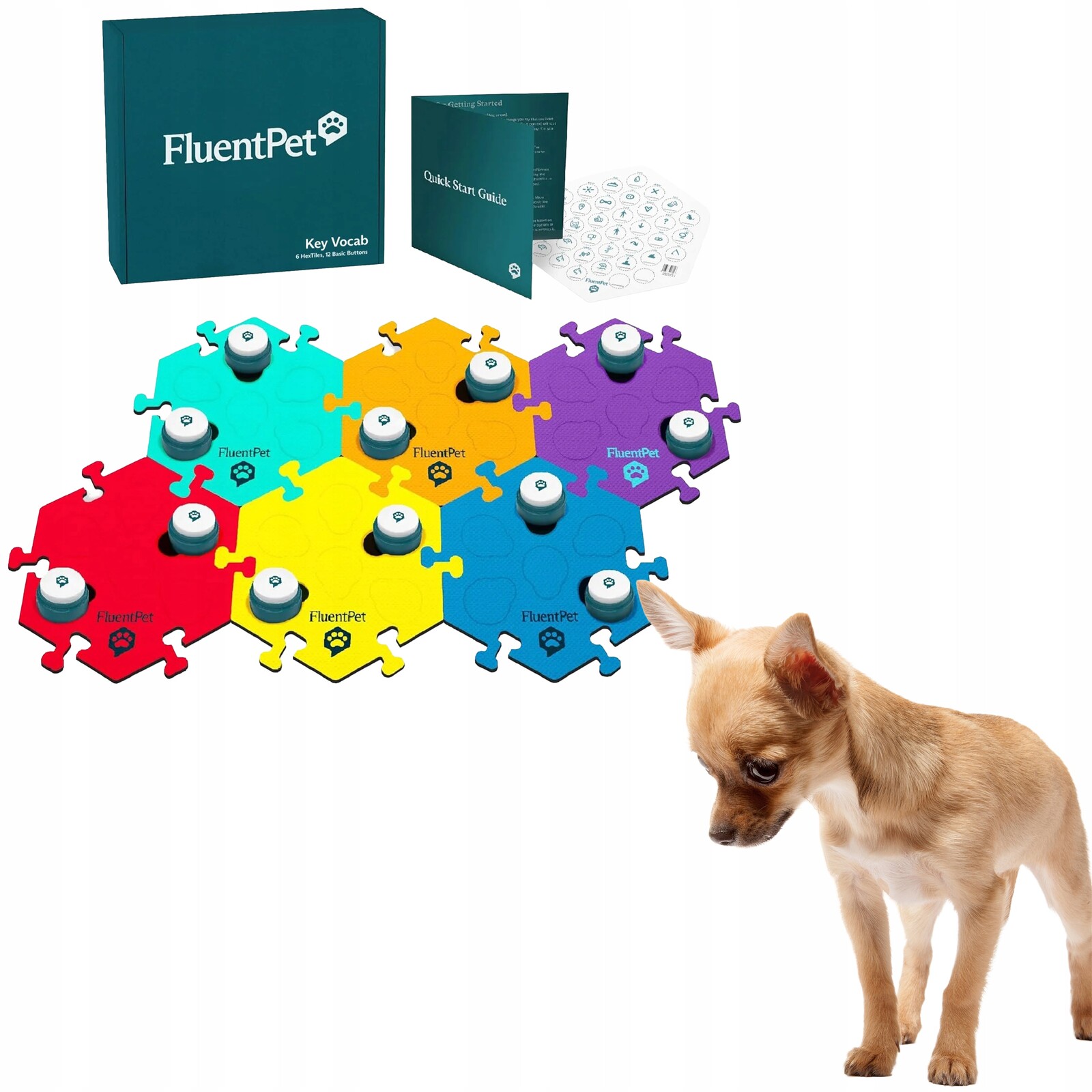 Fluentpet Basic Key – sada 12 tlačítek pro komunikaci se psem nebo kočkou