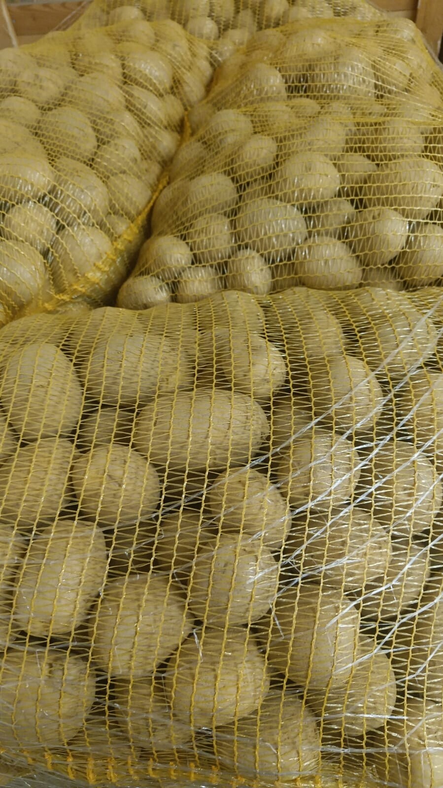 Farma z Rohoznice brambory pozdní Adéla 25 kg