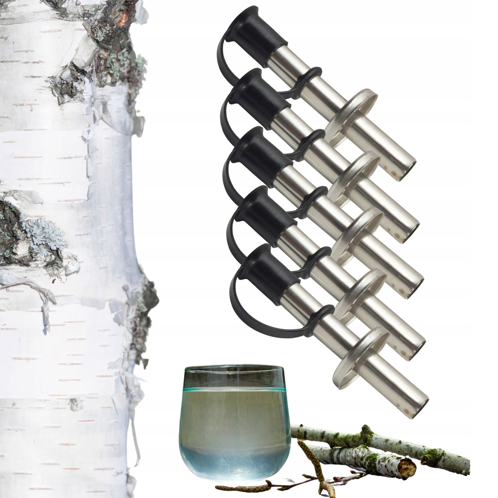 Sada Na Sběr Šťávy Z Břízy Kapilárka 5KS Oskoła Šťáva Z Břízy