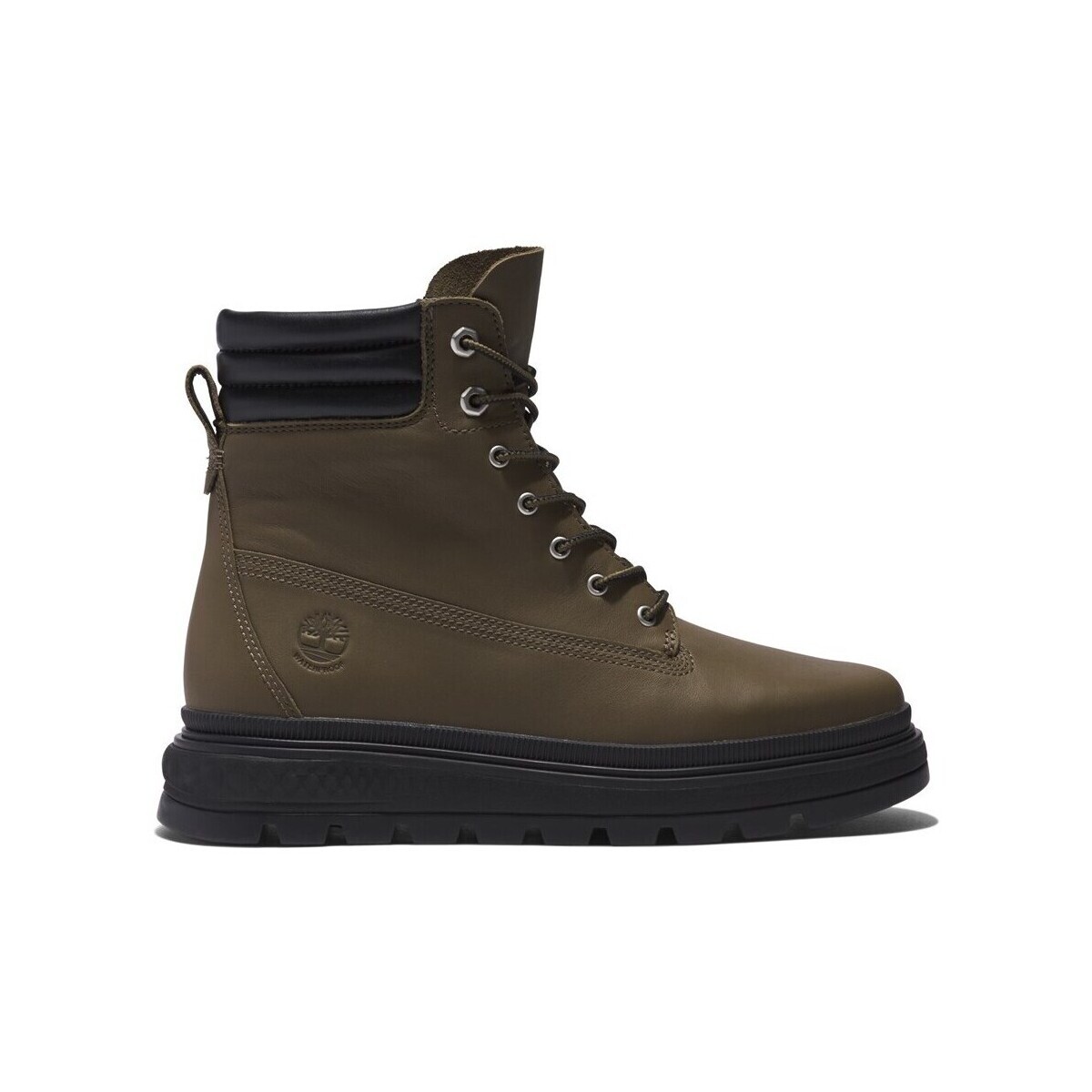 Timberland  Ray City 6IN  Hnědá