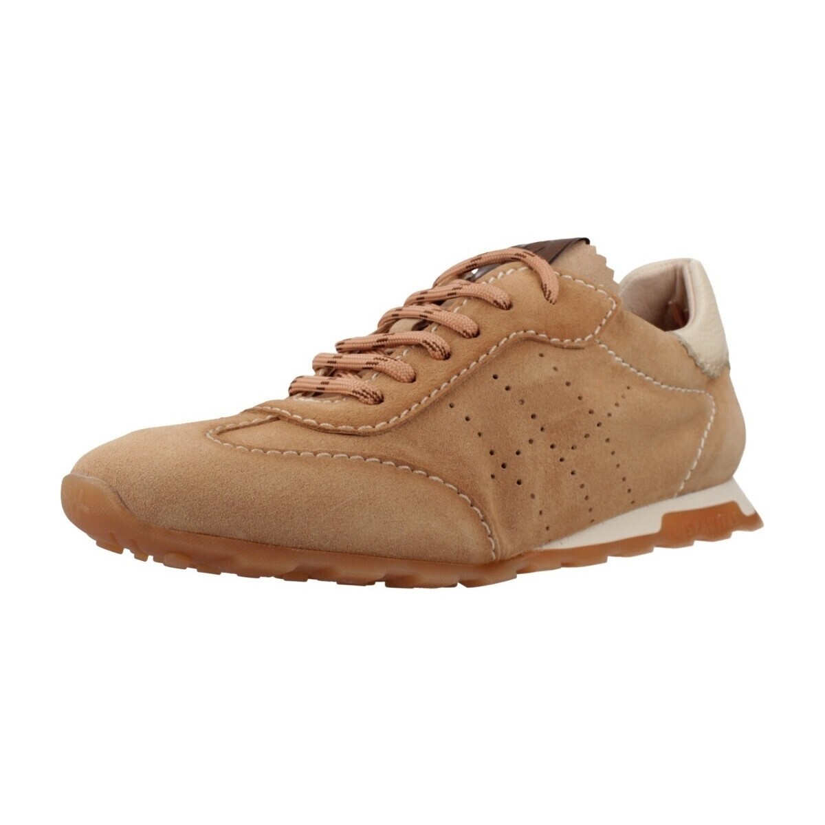 Hispanitas  HV264502  Hnědá