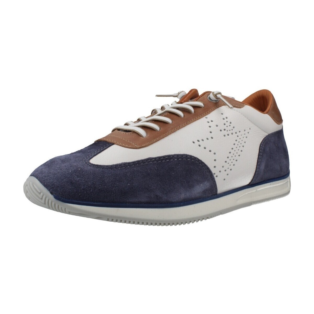 Cetti  C1381 V26  Modrá