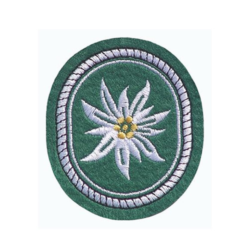 Nášivka Bundeswehr Alpská protěž - barevná