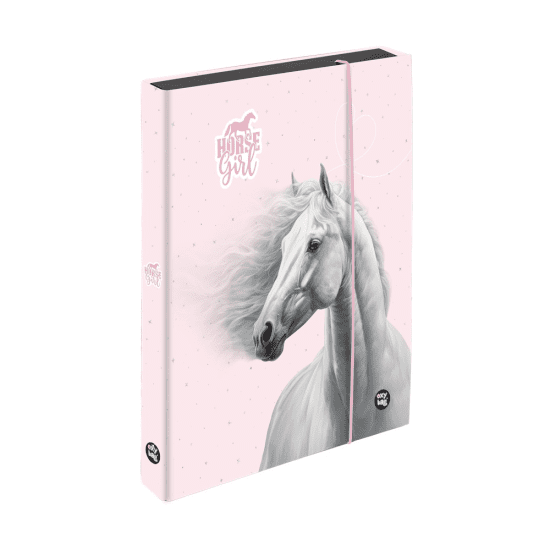 Oxybag Box na sešity A5 JUMBO - Kůň romantic - 8-72126